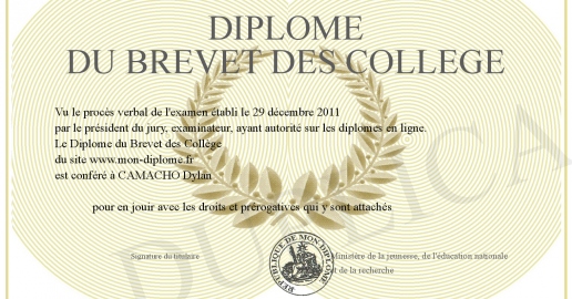 Diplome du Brevet des College