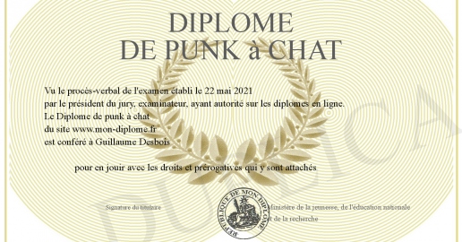 Diplome de punk a chat