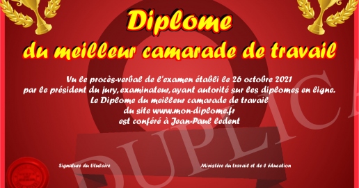 Diplome du meilleur camarade de travail