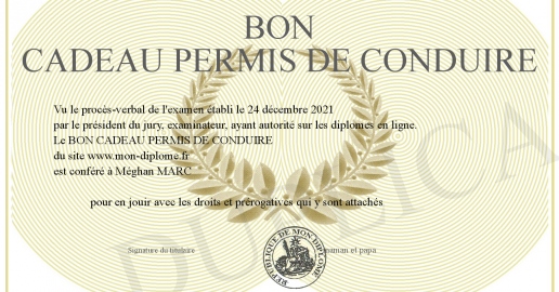BON CADEAU PERMIS DE CONDUIRE