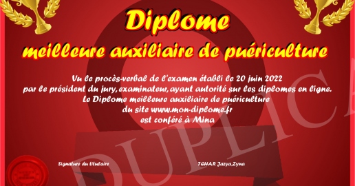 Diplome meilleure auxiliaire de puericulture