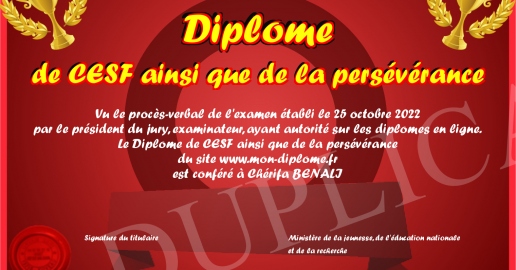 Diplome de CESF ainsi que de la perseverance