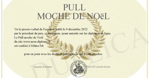 Pull moche de Noel