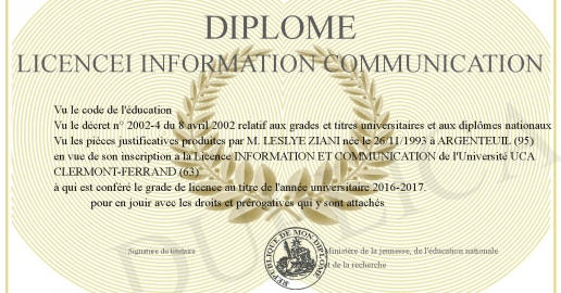 DIPLOME LICENCEi INFORMATION COMMUNICATION