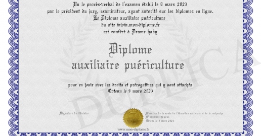 Diplome auxiliaire puericulture