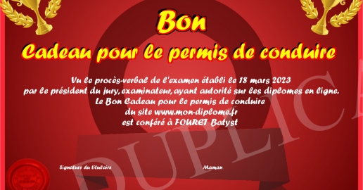 Bon Cadeau pour le permis de conduire