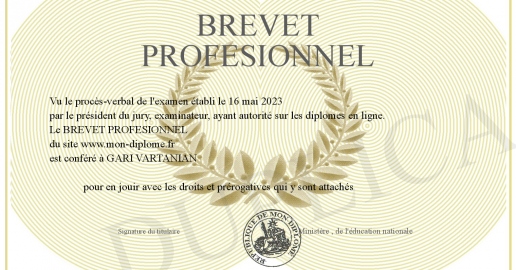 BREVET PROFESIONNEL