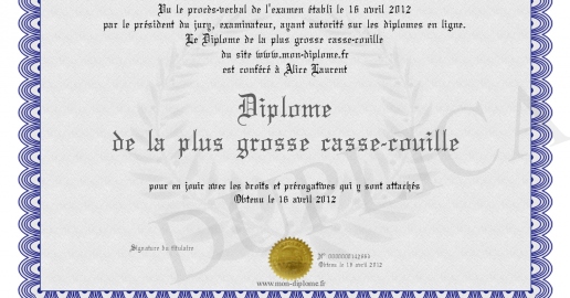 Diplome de la plus grosse casse-couille