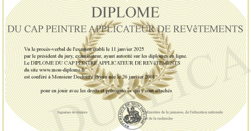 DIPLOME DU CAP PEINTRE APPLICATEUR DE REVeTEMENTS
