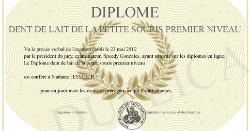Diplome dent de lait de la petite souris premier niveau