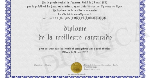 diplome de la meilleure camarade