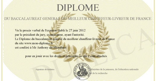 Super Livreur Humour Meilleur Chauffeur Livreur' Débardeur Premium Femme