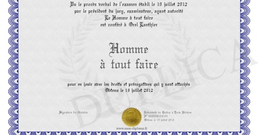 Homme a tout faire
