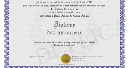 Diplôme Humoristique De Doctorat Amoureux – Spécial Skydiving, Personnalisé