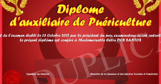 Diplome d auxiliaire de Puericulture