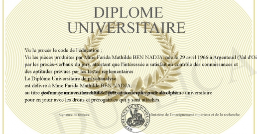 DIPLOME UNIVERSITAIRE