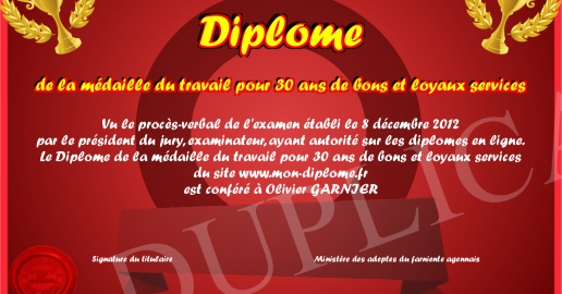 Médaille EDF GDF - 30 Années De Service - Bronze - XXème Siècle - Médailles Françaises