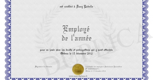 Sweat à Capuche "Employé De L'année 2008 - Lehman Brothers" - Coupe Classique, Col Tissé - Poids 241g - Pour Humour Noir Et Fans De Finance - 2
