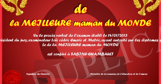 de la MEILLEURE maman du MONDE