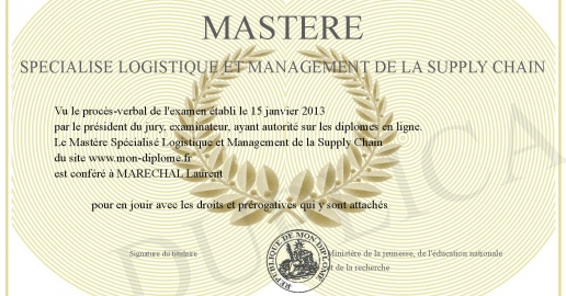 Mastere Specialise Logistique et Management de la Supply Chain