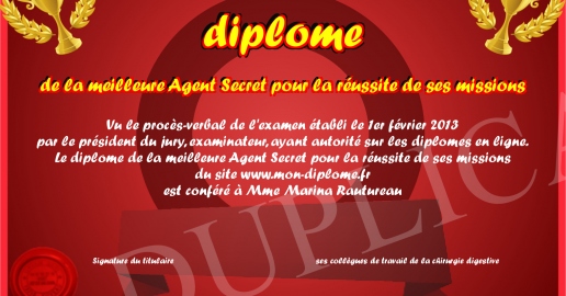 diplome de la meilleure Agent Secret pour la reussite de ses missions