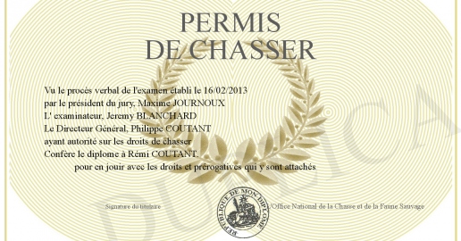 Permis De Chasse Original De 1864 - Commune De Choiseul (Haute-Marne) - Document Historique Second Empire
