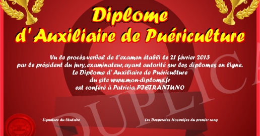 Diplome d Auxiliaire de Puericulture