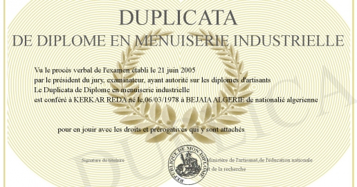 Duplicata de Diplome en menuiserie industrielle