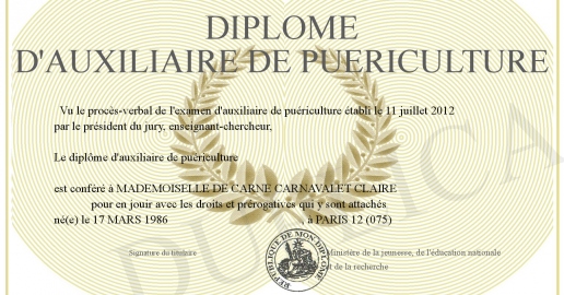 Diplome d auxiliaire de puericulture