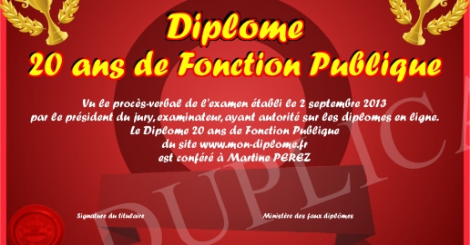 Diplome 20 ans de Fonction Publique