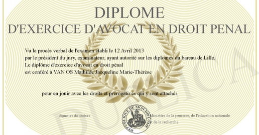 Diplome d exercice d avocat en droit penal