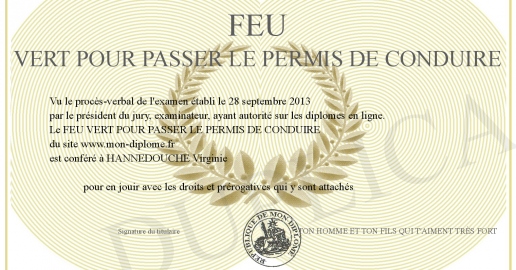 FEU VERT POUR PASSER LE PERMIS DE CONDUIRE