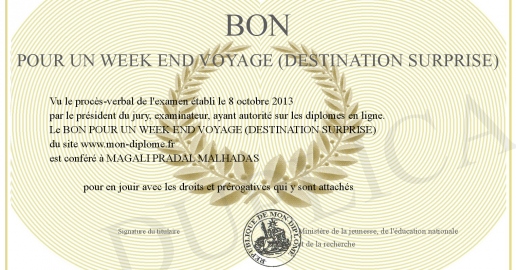 BON POUR UN WEEK END VOYAGE (DESTINATION SURPRISE)