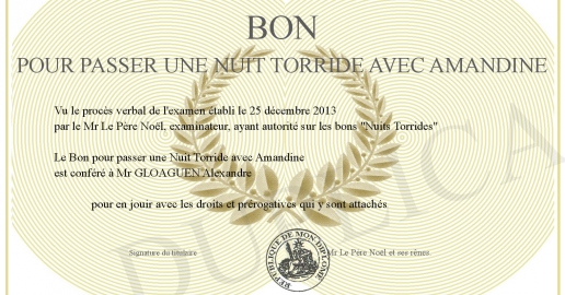 Bon pour passer une Nuit Torride avec Amandine