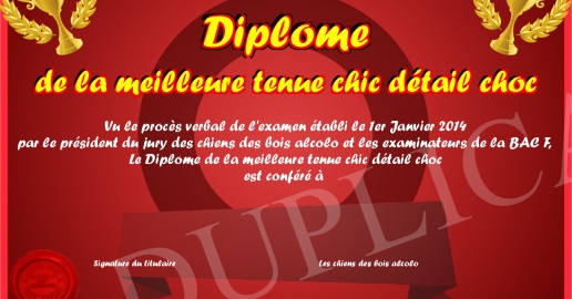 Diplome de la meilleure tenue chic detail choc