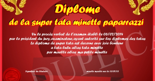 Diplome de la super tata minette paparrazzi