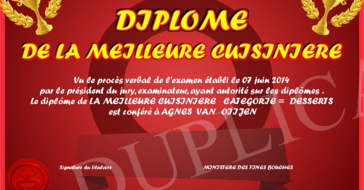 DIPLOME DE LA MEILLEURE CUISINIERE