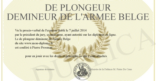 Insigne De Plongeur Démineur – Dos Grenu Doré – Avec Attache Pin's Beraudy