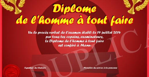 Diplome de l homme a tout faire