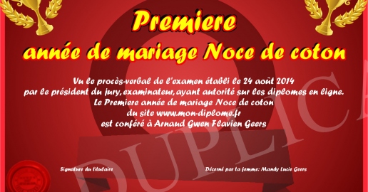 T-shirt 1 An De Mariage "Niveau 1 Débloqué" - Cadeau Couple Humour, Coton Léger