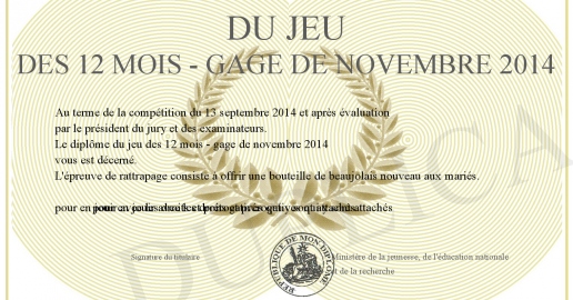 DU JEU DES 12 MOIS - GAGE DE NOVEMBRE 2014