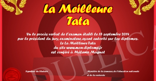 La Meilleure Tata