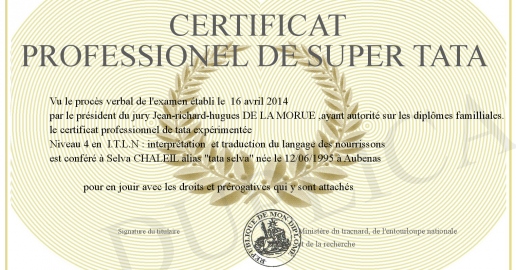 certificat professionel de super tata