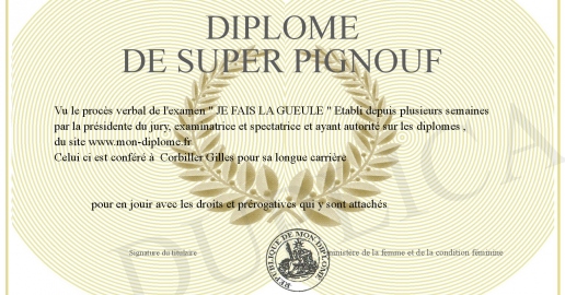 Pokémon pignouf pignouf - se lebron james - Ma carte Pokémon