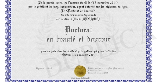Diplôme de doctorat | Doctorat