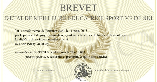 Sk1177 - Insigne Brevet Ski Jeunes Touting Club De France