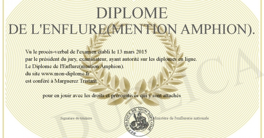 Diplome de l Enflure(mention Amphion).
