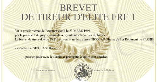 BOUSSEMART - Brevet Tireur PGM – Insigne Militaire En Métal Zamac Gravure 2D/3D Finition Bronze/Argent/Or