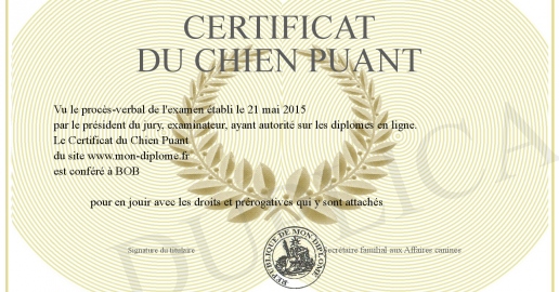 Certificat du Chien Puant