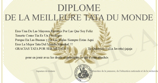 Diplome De La Meilleure Tata Du Monde